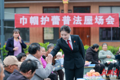 春风化雨护“花蕾”——桑植法院“法官姐姐护蕾团”工作侧记