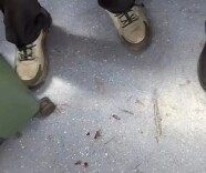 地铁上男子携带的拉杆箱有血渍渗出，官方回应→