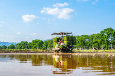 图集 | 谷雨将至农事忙