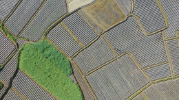 湖湘春潮涌 沃野耕作忙