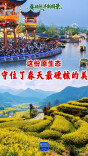 春日经济新图景｜这份原生态，守住了春天最硬核的美！