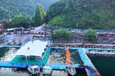 视频 | 来酒仙湖，收集一整个春天的浪漫