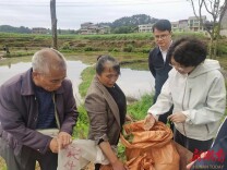 程蓓到绥宁、城步调研当前重点工作