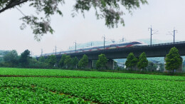 高铁飞驰田园美