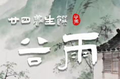 廿四养生馔④｜AI视频：雨生百谷，茶暖春深