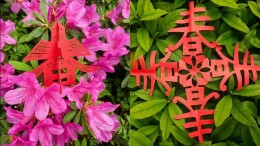 当剪纸遇上春天，长沙商贸旅游职院把思政课“剪”进风景里