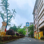 长沙市芙蓉区育才二小：以党建品牌强引领 以思政铸魂育新人