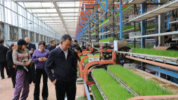 全省水稻制种机械化作业现场演示活动在靖州举行