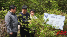 湖南农大生物科学技术学院专家团赴鹤城 科技赋能农业产业发展