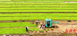 图集|谷雨农忙