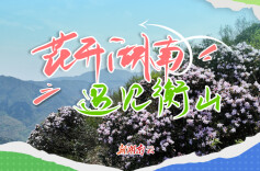 花开湖南⑮｜遇见衡山：一岳青岚铺锦绣