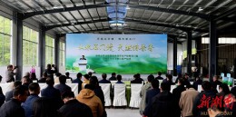 湖南首条全自动高端抹茶生产线在石门投产 万吨茶叶加工中心同步启用 助力湘茶产业升级