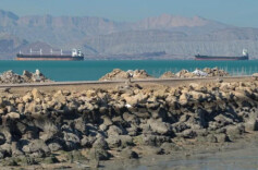 伊朗否认有关在伊斯兰堡举行第二轮会谈