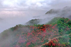五一假期去这7个宝藏之地 风景美还能长知识