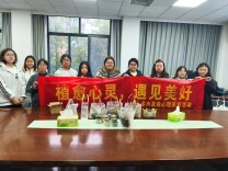 长沙民政职院财管学院开展“植愈心灵，遇见美好”多肉盆栽心理美育活动