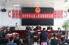 贪9400元毁一片土！生态庭审开进村委会，敲响护绿警钟！