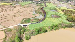 澧南镇首条村级沥青路通车 2000余名群众出行不再难