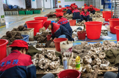 A Full Industrial Chain of Fuling Products Empowers Rural Revitalization