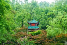 世界地球日｜践行无痕山林 守护美丽麓山