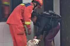 暴雨引发内涝，消防及时转移被困人员