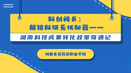 科创闯关：解锁科研无忧秘籍——湖南科技成果转化政策奇遇记