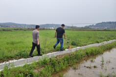 龙洞镇财政办：严把项目资金关 守好群众“钱袋子”