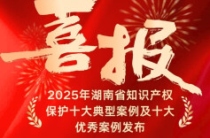 湖南省知识产权保护十大典型案例及十大优秀案例发布
