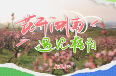 花开湖南⑯｜遇见桂阳：春满桃溪踏歌行