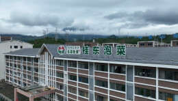 桂东：加快泡菜生产线建设 赋能高山蔬菜产业升级