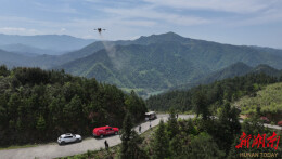 溆浦县：科学防治越冬代马尾松毛虫