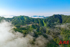 “益阳好人”蔡凤娇：祖师界的“点绿成金”人