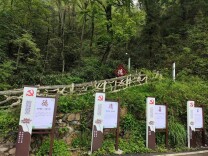 洞口县石柱镇：党建引领筑廉魂 文旅融合兴镇兴民