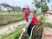 井字镇莲塘村开展志愿服务活动 共建美丽家园