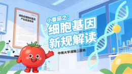 小番茄之：细胞基因新规解读——湖南省细胞和基因产业促进条例