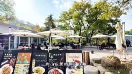 视频｜赏古韵享清闲，来蒸湘赴一场非遗之约吧！