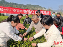 春潮涌动沙塔坪  实干耕耘绘“丰”景