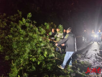 辰溪县柿溪乡：戎装卸甲守初心 雨夜抢险显担当