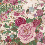 对话蔡皋②| 每一代人都在各自的困境中成长