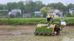 田间奏响春耕“奋进曲”，衡山县17万亩早稻插秧全面铺开
