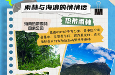 来亚沙，有这本手账就够了