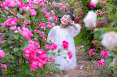 乐游湘潭㉑ | 300亩玫瑰花海上线！盘龙大观园玫瑰园等你来