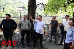 冷水江市：陈创业督导防汛备汛、煤矿安全生产工作并开展约访