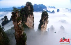张家界春季旅游市场持续火爆@湖南日报市州头条