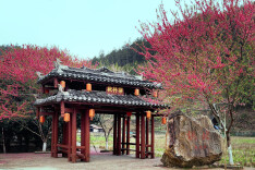 湖南省城步苗族自治县桃林村：南山脚下“桃花源”