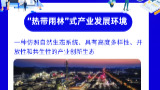 湖南省“十五五”规划微解读丨如何构建“热带雨林”式产业发展环境