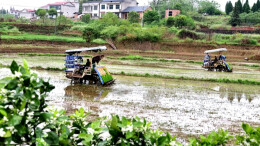 筑牢农机安全生产防线