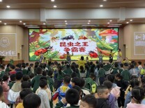 虫虫竞秀争风采 耕读润心伴成长——怀化市鹤城二幼围裙剧《昆虫之王争霸赛》精彩上演