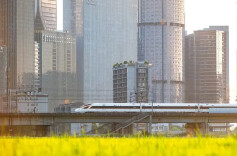 事关节能降碳工作 中办、国办重磅文件对外发布