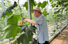 沅澧文苑丨父亲的菜园