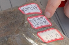 抗美援朝烈士碑前，为何放着五捧泥土？